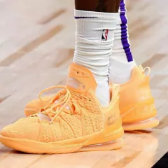Lebron 18 'Sisterhood'