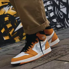 Air Jordan 1 High Element Gore- Tex 'Light Curry'