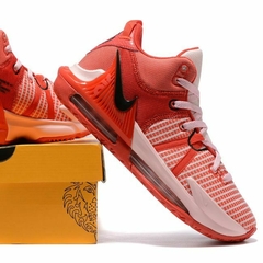 Lebron Witness 7