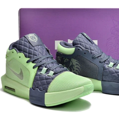 Lebron Witness 8