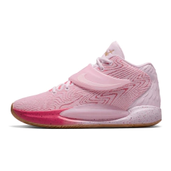 Imagem do Nike KD 14 “Aunt Pearl”