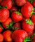 Mermelada de Frutilla x 420gr - El Brocal - comprar online