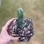 Cacto Myrtillocactus Geometrizans - comprar online