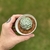 Echeveria Alienor na internet