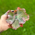 Echeveria Gibbiflora Cielpur - comprar online