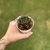 Echeveria Dyonisus - Bru Suculentas