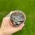 Echeveria Hélice na internet