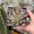 echeveria mensa dark desire - comprar online