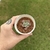 Echeveria Gibbiflora Pagoda - comprar online