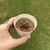Echeveria Subcorymbosa Lau 30 - comprar online