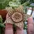 Orbea Variegata - comprar online