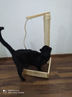 Gato na caixa - comprar online