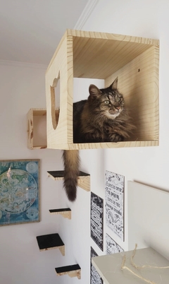 Nicho para gatos Medio- peças para gato, gatificaçao pet art