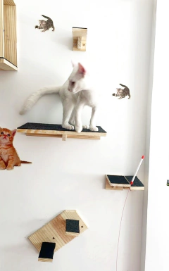 Gato branco em um playground para gatos, com prateleiras de madeira e arranhadores. Ao fundo, adesivos de gatos em uma parede branca.
