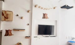 Playground para gatos com estruturas de madeira, incluindo prateleiras, nichos e um espaço para os gatos brincarem, decorado com adesivos de gatos.