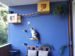 Gato de Cheshire em um playground para gatos, com prateleiras e caixas de madeira na parede azul.