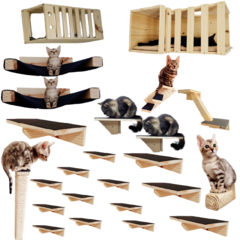 PLAYGROUND PARA GATOS, 24 PÇS - MAINE COON - GATIFICAÇÃO PERSONALIZADA