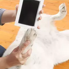 Uma pessoa segurando uma almofada de impressão não tóxica e pressionando a pata de um cachorro.