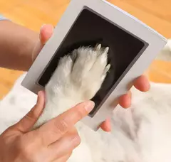 Uma mão segurando uma almofada de impressão não tóxica enquanto uma pata de cachorro é pressionada contra ela.