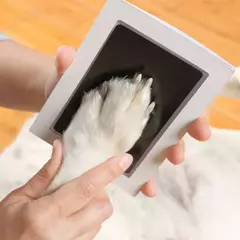 Uma pessoa segurando uma almofada de impressão não tóxica enquanto posiciona a pata de um cachorro sobre ela.