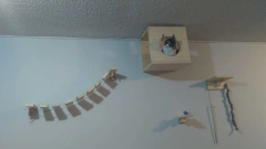 Ponte para gatos de madeira com caixa de descanso, projetada para criar um playground divertido e personalizado para felinos.