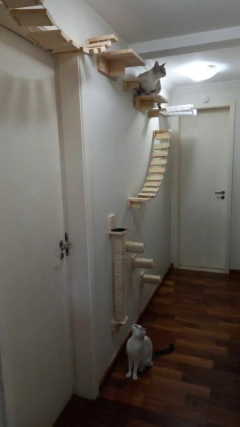 Playground vertical para gatos com prateleiras de madeira, mostrando dois gatos interagindo com a estrutura.