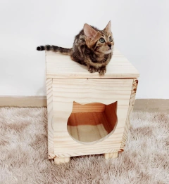 Gato em cima de uma casinha de madeira com formato de gato, com interior visível.