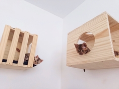 Nicho para gatos Medio- peças para gato, gatificaçao pet art - comprar online