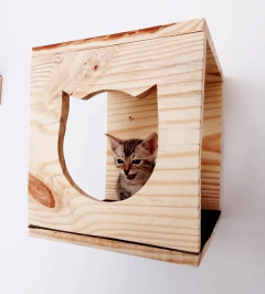Gato pequeno dentro de um nicho de madeira com formato de gato, projetado para gatos.