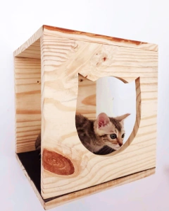 Imagem do Playground para gatos ECO8, GATIFICAÇÃO PERSONALIZADA, PLAYGROUND