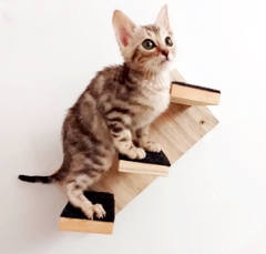 Gato pequeno em uma escada de madeira projetada para gatos, com degraus revestidos de material antiderrapante.