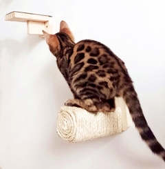 Gato bengal sentado em um playground vertical com um poste de arranhar.