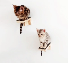 Playground para gatos - Gato Felix, 20 peças, completo-gatificação completa com arranhador para gatos - Gatificação Pet Art | Arranhador para Gatos e Playground para Gatos - Gatificação de Parede 
