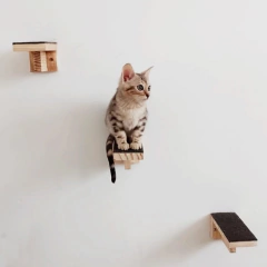 Playground para gatos Eco cama 2.0, 13 peças na internet
