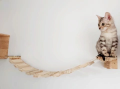 Um gato brincando em uma ponte de madeira projetada para felinos, destacando a gatificação do ambiente.