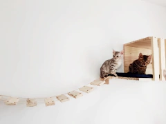 Ponte para gatos em madeira com dois gatinhos brincando.
