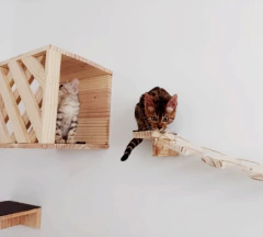 Dois gatos brincando em uma ponte de madeira, um deles está em uma casinha e o outro está explorando a ponte.
