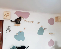 Gato brincando em um playground vertical com prateleiras de madeira e paredes coloridas.