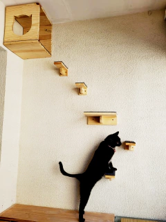 Gato preto explorando um playground para gatos de madeira na parede, com prateleiras e um nicho.