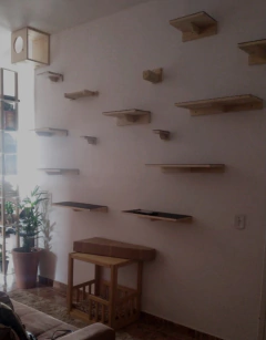 Playground para gatos com prateleiras de madeira montadas na parede, ideal para gatificação.