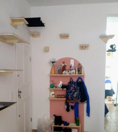 Playground para gatos com prateleiras e decoração na parede, ideal para a gatificação do ambiente.