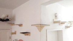 Prateleiras de madeira para gatos, com um gato brincando em uma delas.