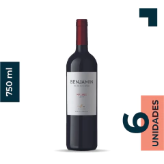 BENJAMIN MALBEC 750ml - comprar online