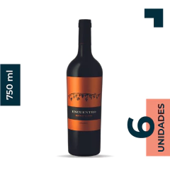 ENCUENTRO MALBEC 750ml - comprar online