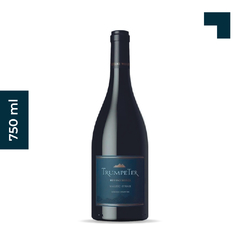 TRUMPETER MALBEC SYRAH 750ml