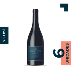TRUMPETER MALBEC SYRAH 750ml - comprar online