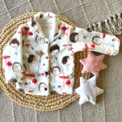 Set Erizo en internet