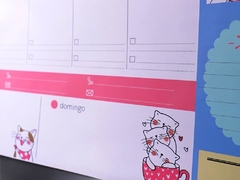Organizador PLANNER imantado en internet