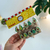 MINI BROCHES (PALTA) - MUNDO GIFT