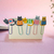 CLIPS DECO (5 UNIDADES) - MUNDO GIFT